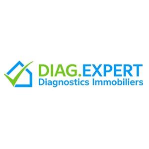 Company Logo For Diag Point Expert'