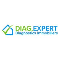 Diag Point Expert Logo