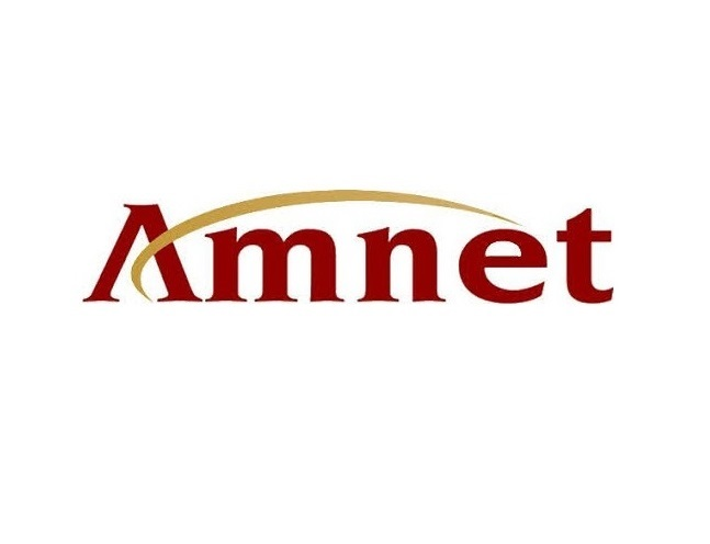 Company Logo For Amnet Technology Pte Ltd'