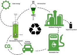 Algae Biofuel Technologies Market'