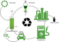 Algae Biofuel Technologies Market