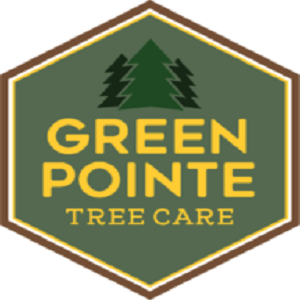 Green Pointe Tree Care Logo