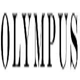 Mens Sandals Olympus Logo