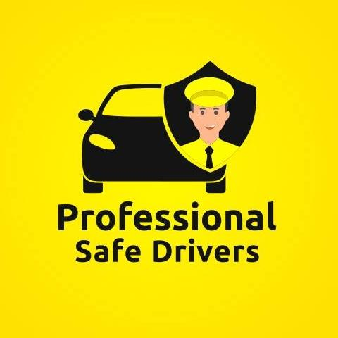 Company Logo For Professional Safe Drivers'