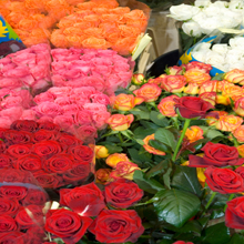 Sympathy Flowers'