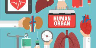 Organ Transplantation Market'