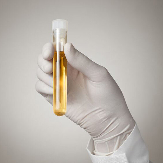 Advanced Drug Detection Il. Inc Logo