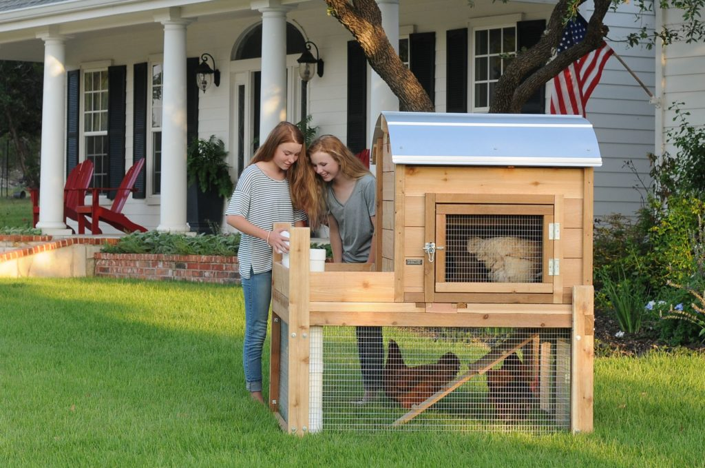 Backyard Chicken Coops'