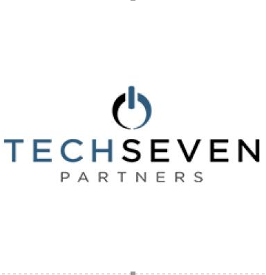 Company Logo For TechSeven Partners'