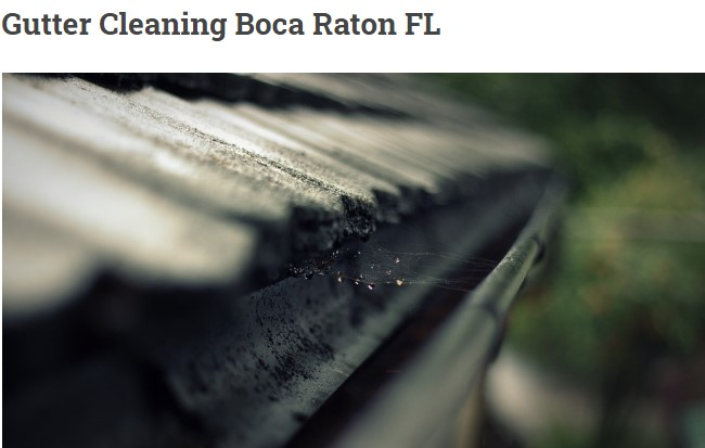 Company Logo For Gutter Cleaning Boca Raton'