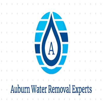 Company Logo For Auburn Water Removal Experts'