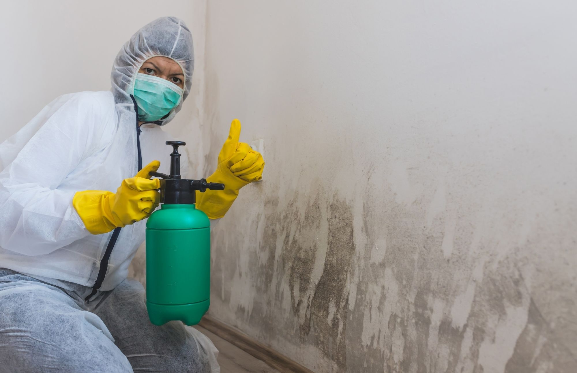 Company Logo For Colorado Springs Mold Removal'
