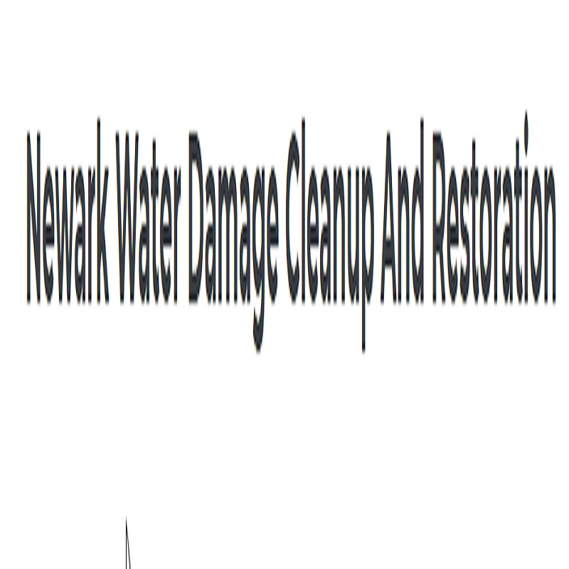 Company Logo For Newark Water Damage Cleanup and Restoration'