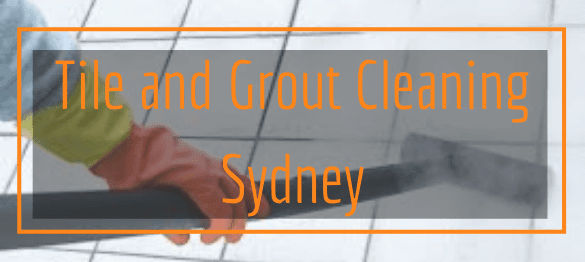 Company Logo For Kangaroo Tile and Grout Cleaning Sydney'