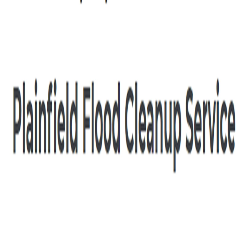 Company Logo For O&amp;NwaterDamage'