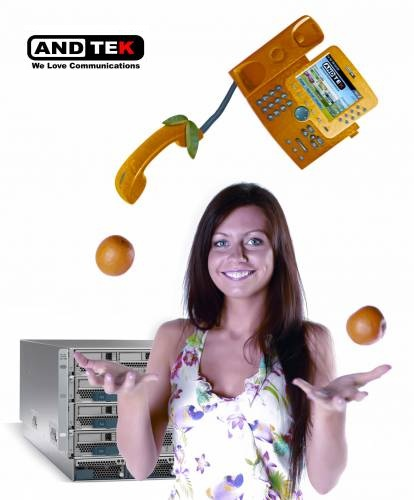 Andtek Web Client'