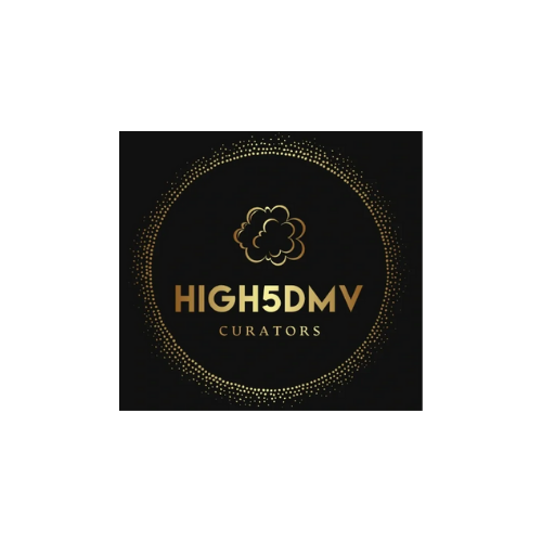 High5DMV Curators