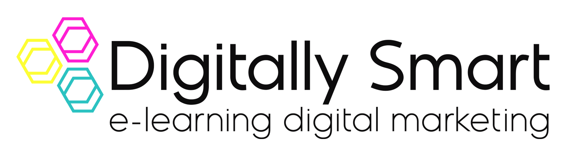 Digitally Smart Ltd. Logo