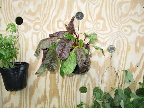 Building Shelter for Millions'