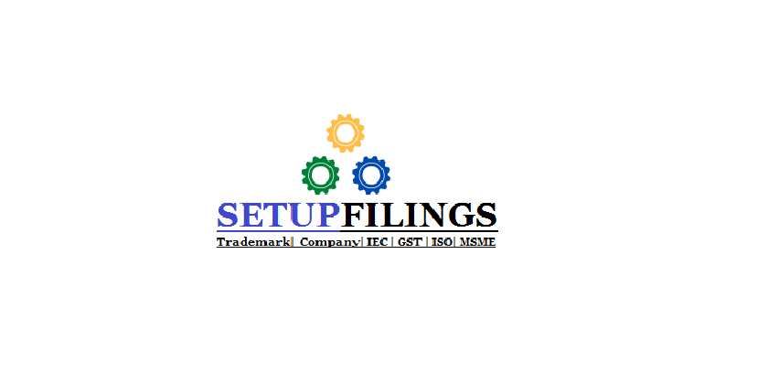 Company Logo For setupfilings'