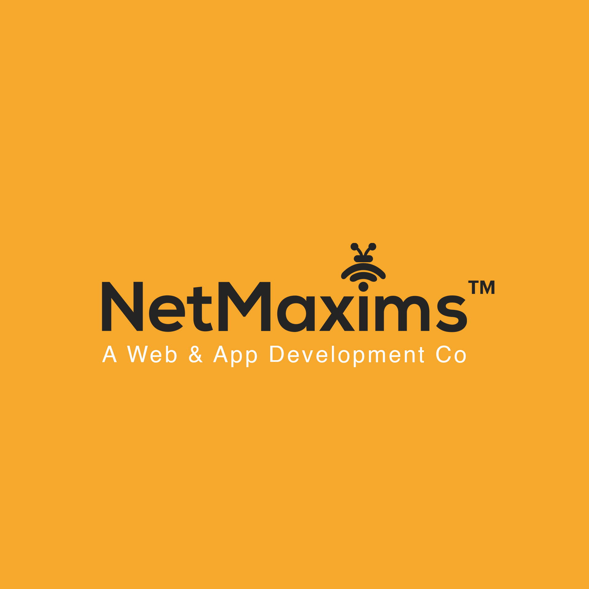 NetMaxims Technologies'