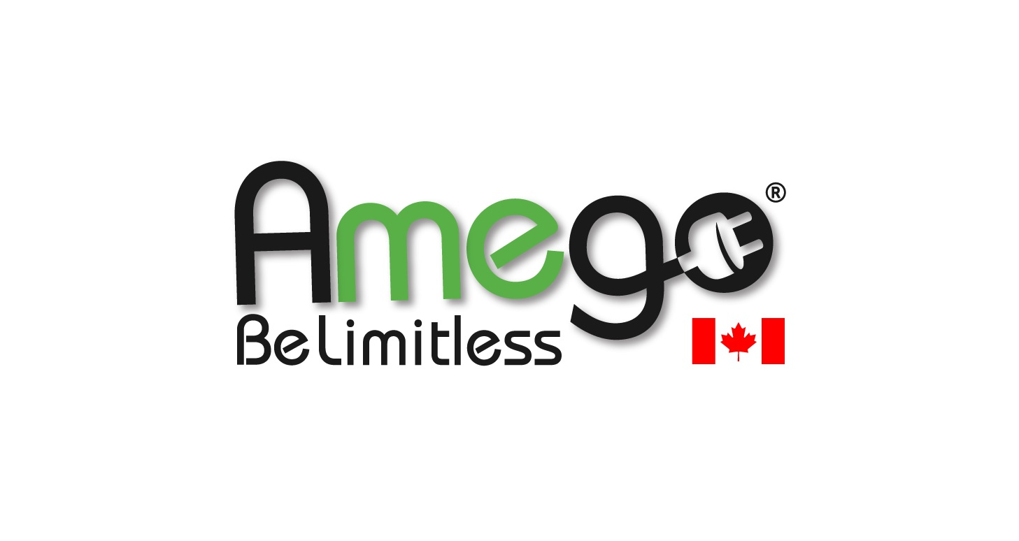 Company Logo For Amego Electric Vehicles'