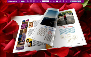 The Upload Online Service in eFlip Standard of 3.9.0 Version'