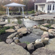 Pond Maintenance'