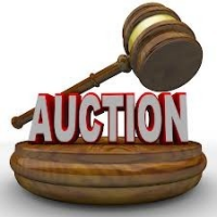 Auction Services