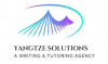 Company Logo For Yangtze Solutions'
