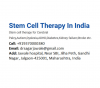 Stem Cell Treatment India'