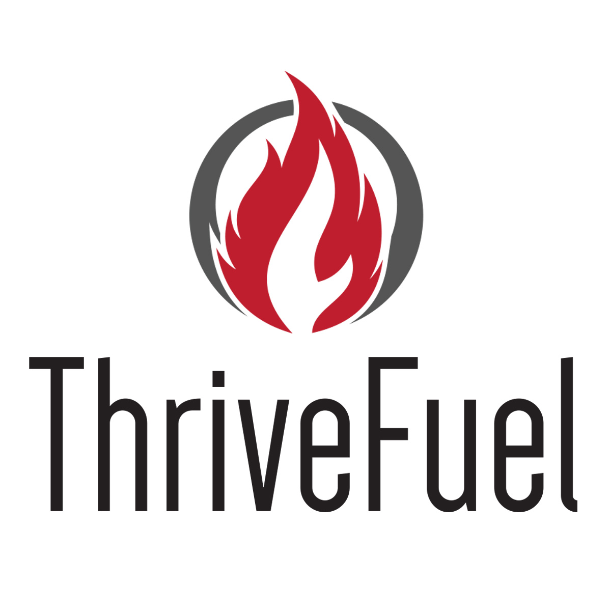 Company Logo For ThriveFuel Digital Marketing'
