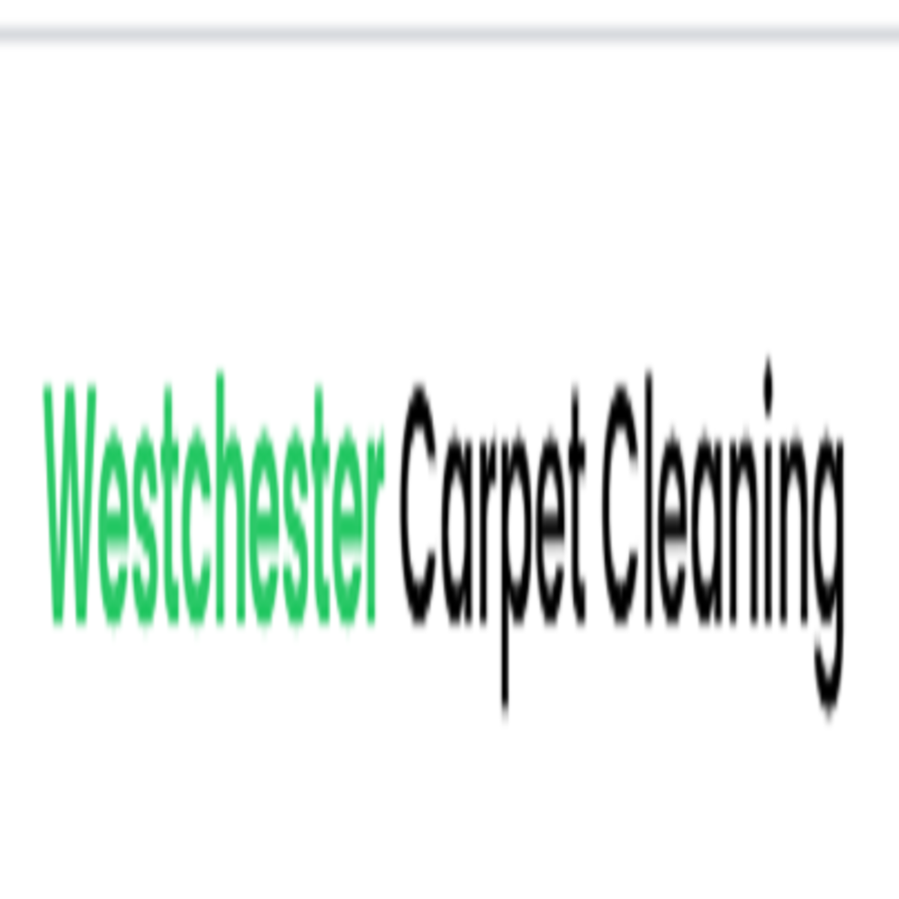 Professional Rug Cleaning NYC Logo