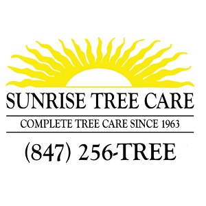 Company Logo For Sunrise Tree Care'