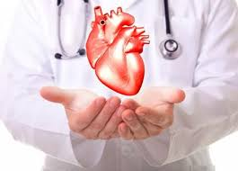 Total Artificial Heart Market'