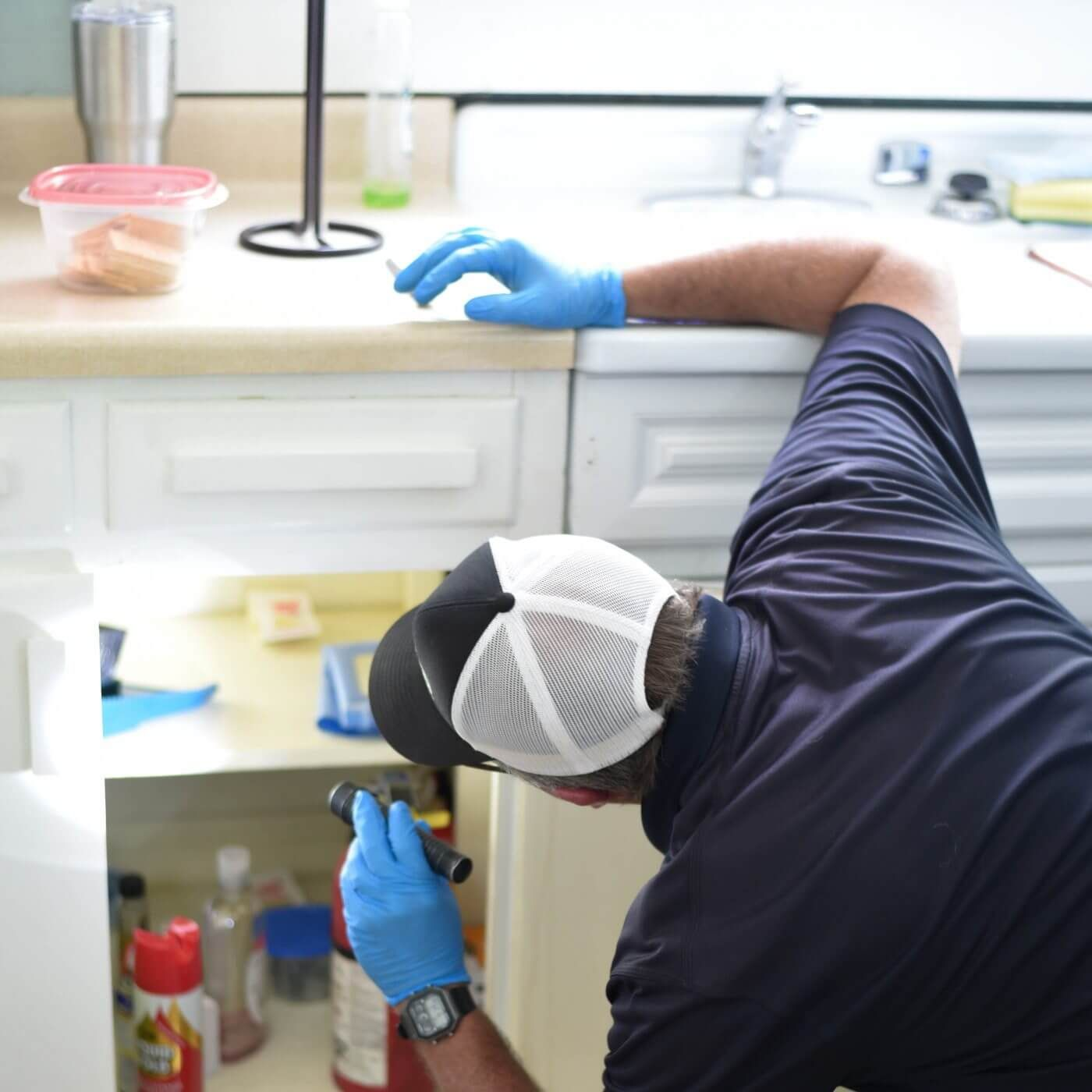 Building and Pest Inspection'