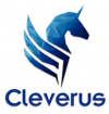 Cleverus Consulting'