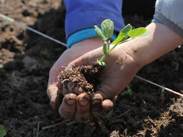 Tasty Guide to a Healthy Planet'