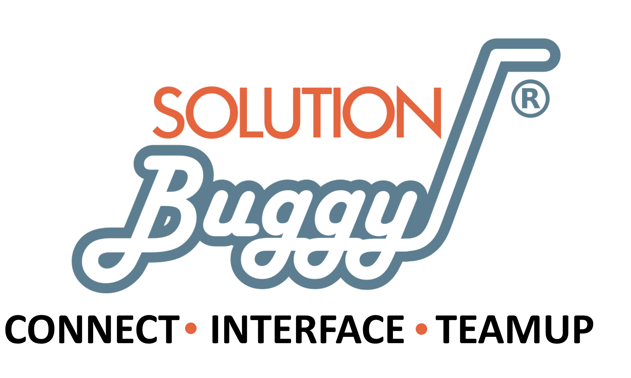 SolutionBuggy - Business Consultants