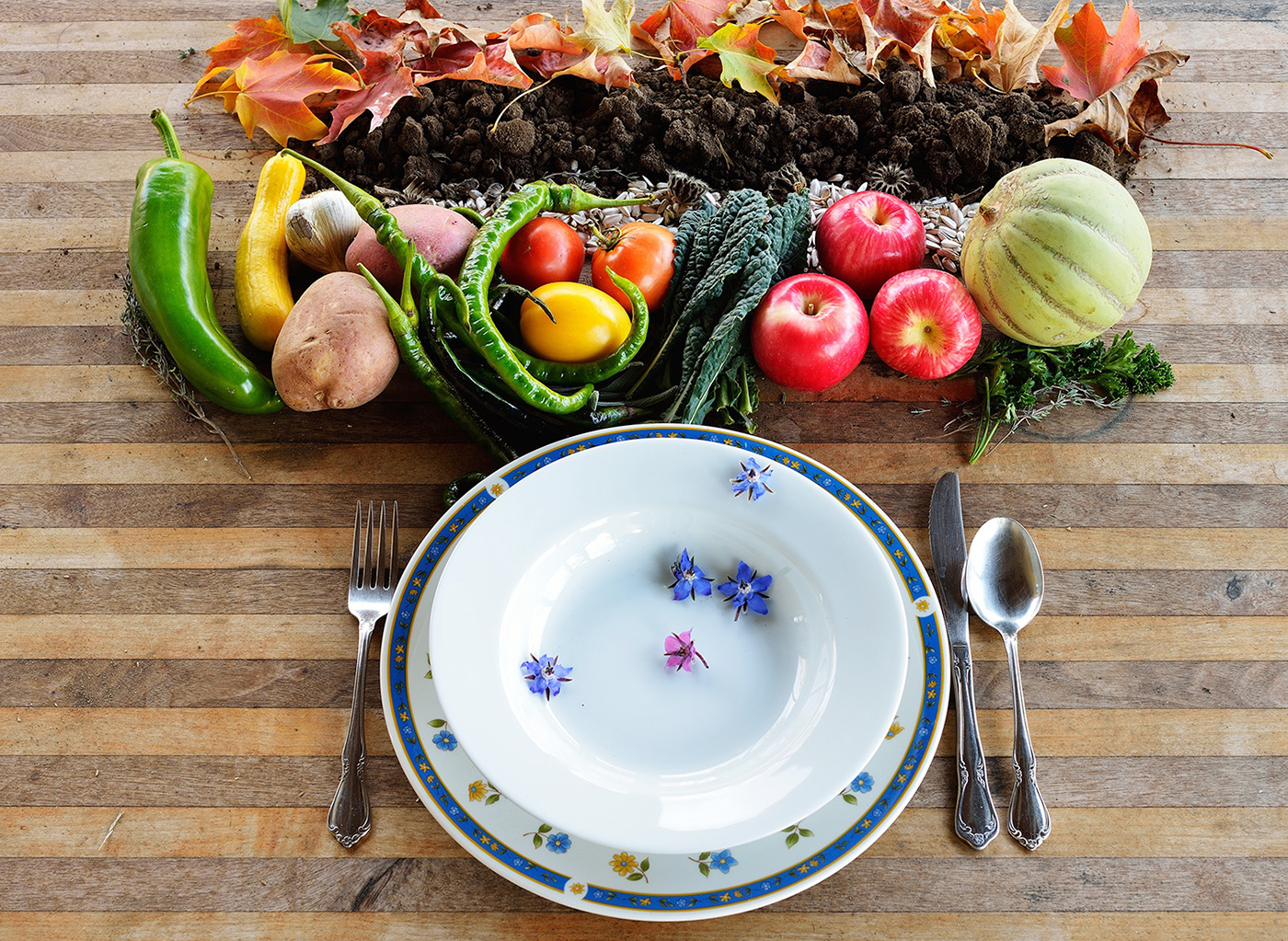 Tasty Guide to a Healthy Planet'