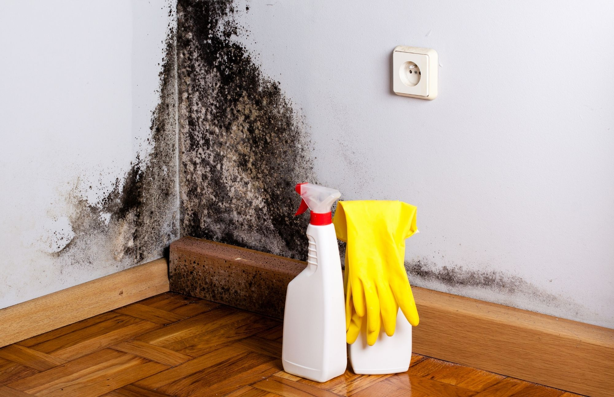 Company Logo For Mold Solutions of Atlanta'