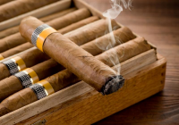 Cigars and Cigarillos Market