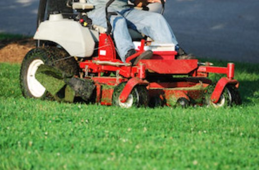 Grass Cutting'