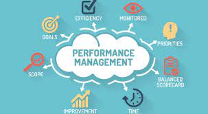 Performance Management Systems Market'