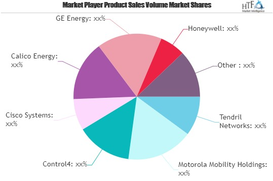 Smart Grid Home Area Network (HAN) Market