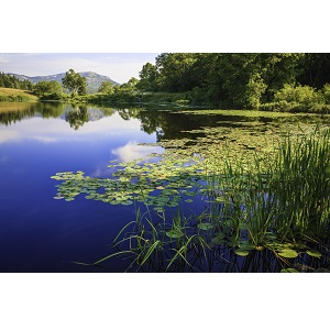 Northwest Lake Cleaning