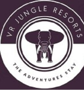 VR Jungle Stay'