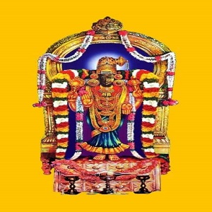 Thirukadaiyur | Thirukadaiyur temple'