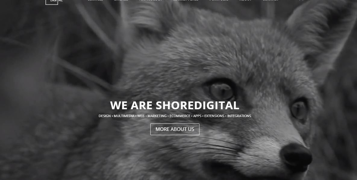 Company Logo For ShoreDigital'