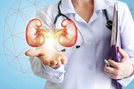 Nephrologists Market'